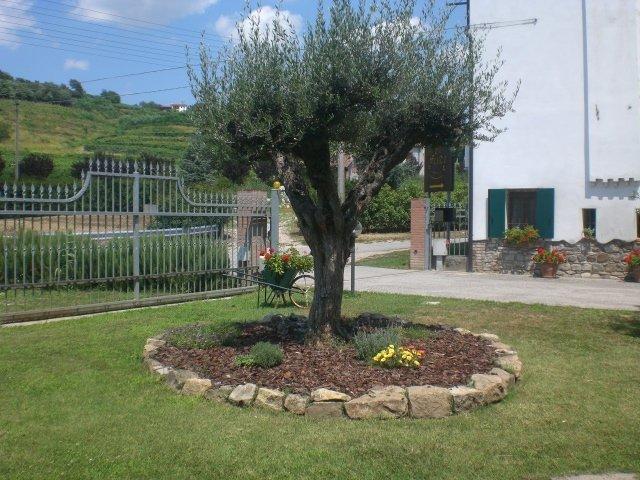 Il Feudo Villa Vo Euganeo Exterior photo
